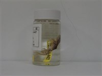面天樹蛙藏品圖，第2張